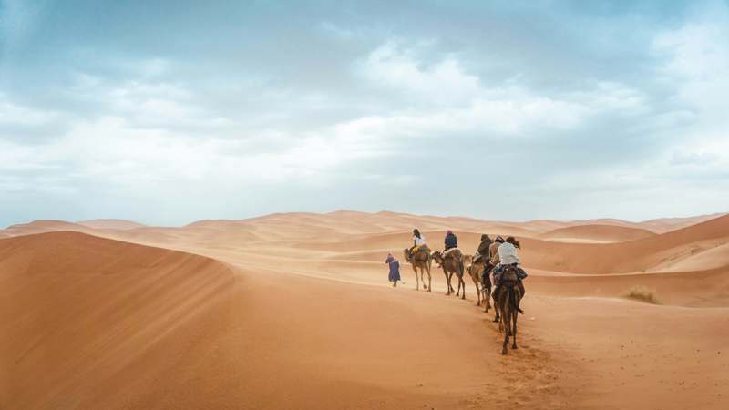 Homepage for Travel Tourism & Activities desert safaris